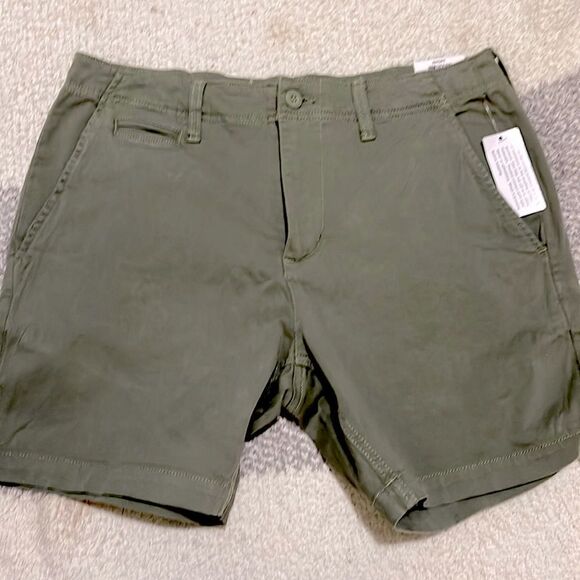 NWT- Sun + Stone- 31. Flat Front Short - Picture 1 of 10